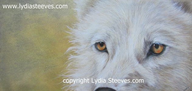 White Wolf CP e-Packet